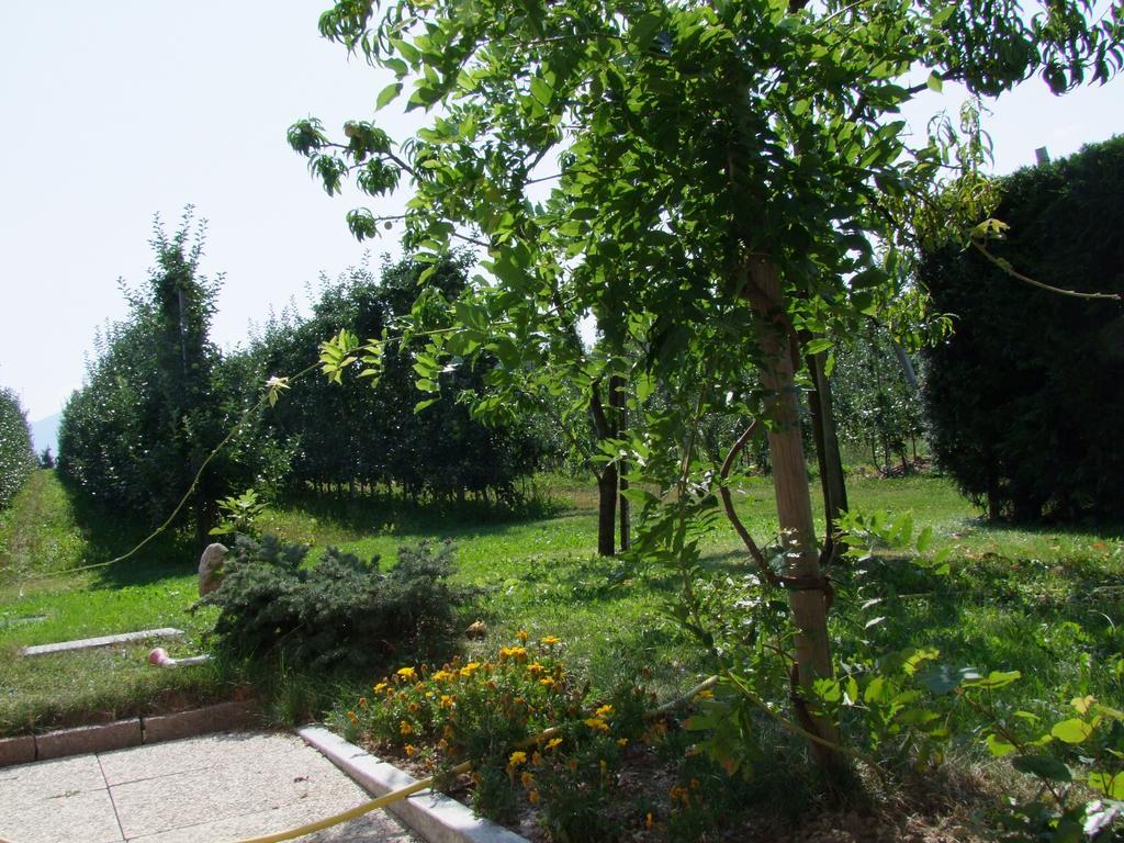 NannoAgritur Fior Di Melo公寓 外观 照片